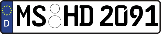 MS-HD2091