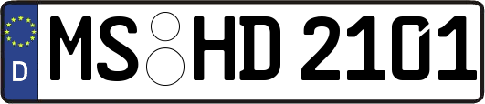 MS-HD2101