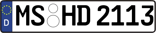 MS-HD2113