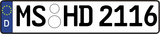 MS-HD2116