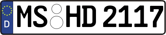 MS-HD2117