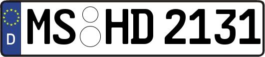 MS-HD2131
