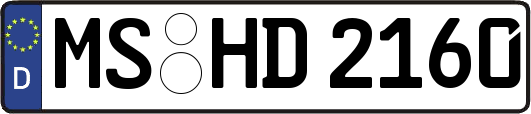 MS-HD2160