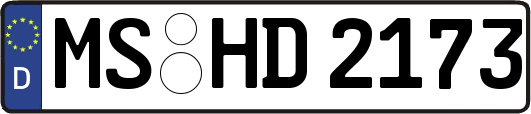 MS-HD2173