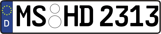 MS-HD2313