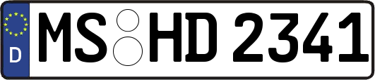MS-HD2341