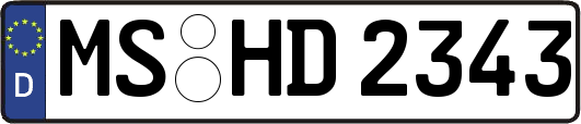 MS-HD2343