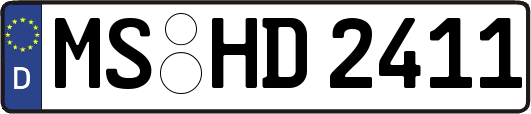 MS-HD2411
