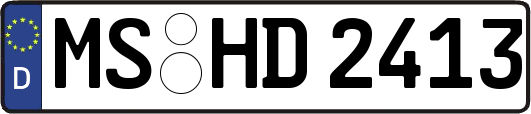 MS-HD2413