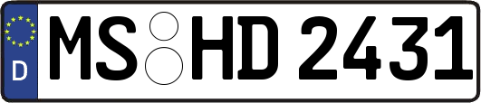MS-HD2431