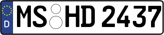 MS-HD2437