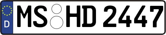 MS-HD2447