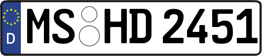 MS-HD2451