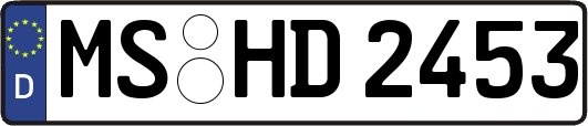 MS-HD2453