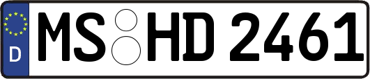 MS-HD2461