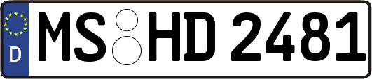 MS-HD2481