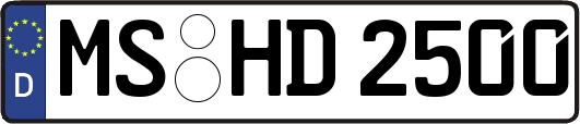 MS-HD2500