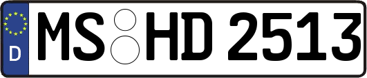 MS-HD2513