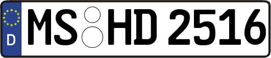 MS-HD2516