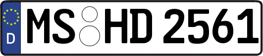 MS-HD2561