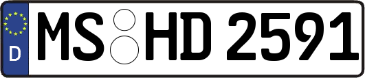 MS-HD2591