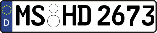 MS-HD2673