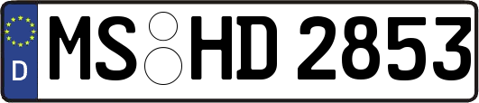 MS-HD2853