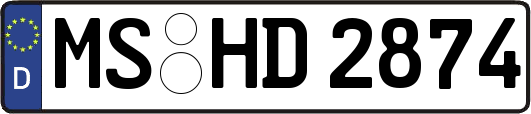 MS-HD2874