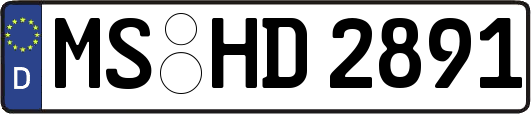 MS-HD2891