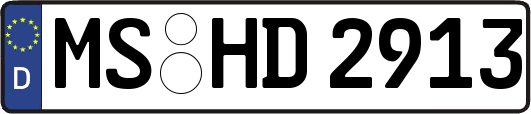 MS-HD2913