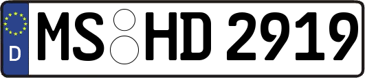 MS-HD2919