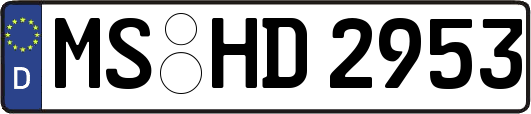 MS-HD2953