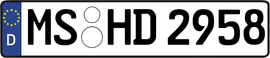 MS-HD2958