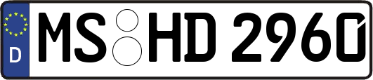 MS-HD2960