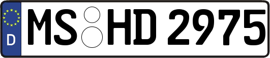 MS-HD2975