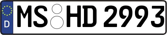 MS-HD2993