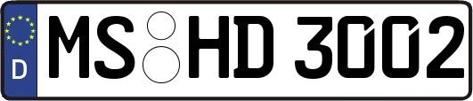 MS-HD3002