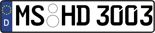 MS-HD3003