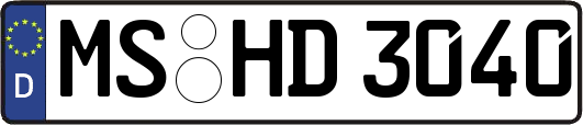 MS-HD3040