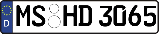 MS-HD3065