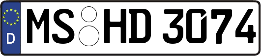 MS-HD3074