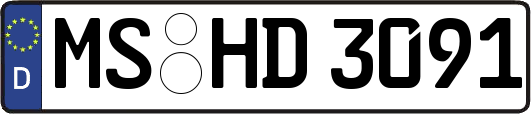 MS-HD3091
