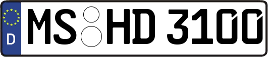MS-HD3100