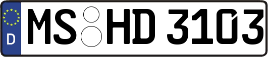 MS-HD3103
