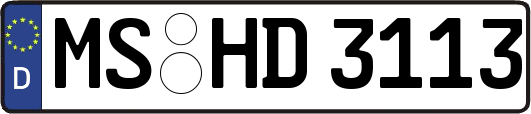 MS-HD3113