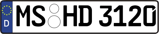 MS-HD3120
