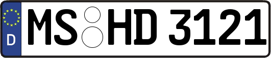 MS-HD3121