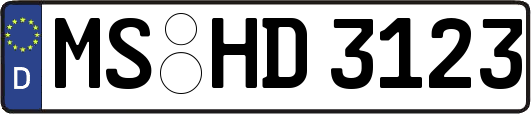 MS-HD3123