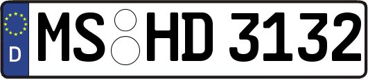 MS-HD3132