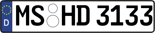 MS-HD3133